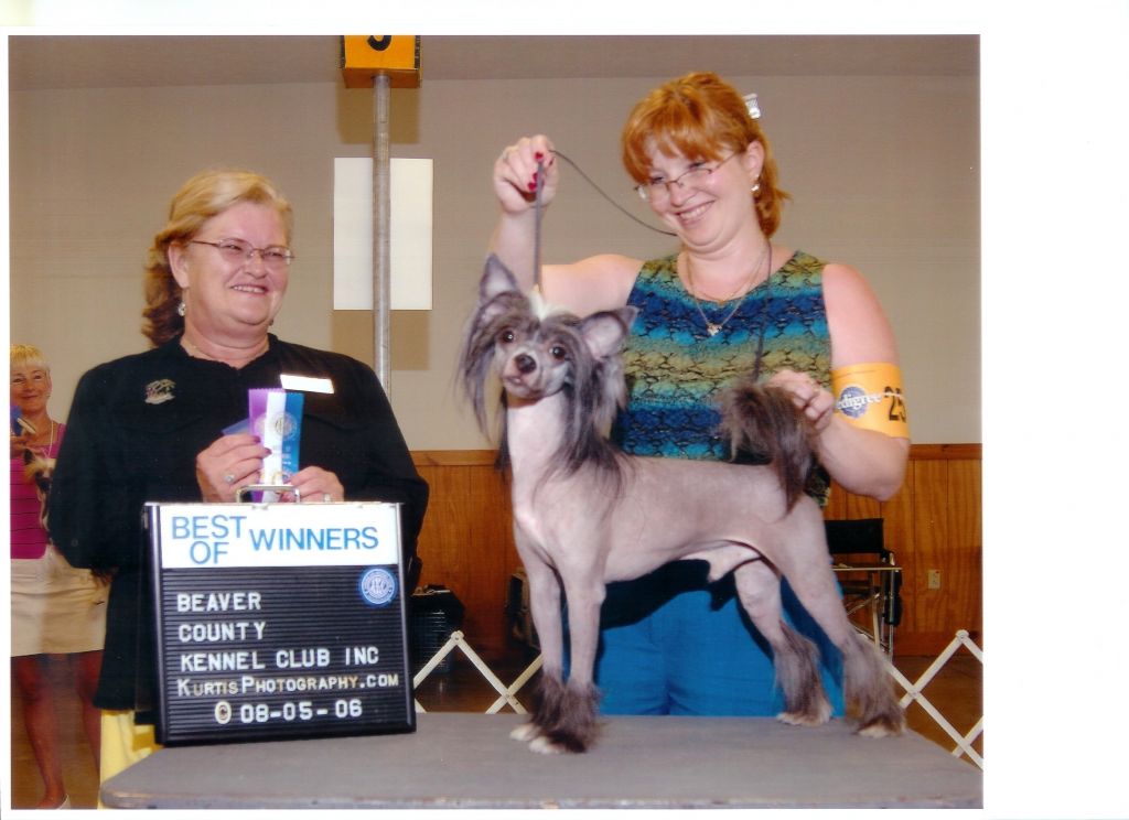 Earlylite Midnite Express