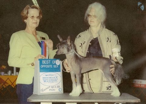 Edelweiss Girl Gone Wild