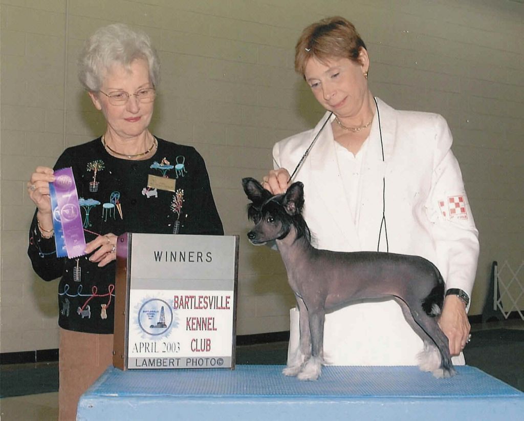 Edelweiss Girls Wanna Have Fun