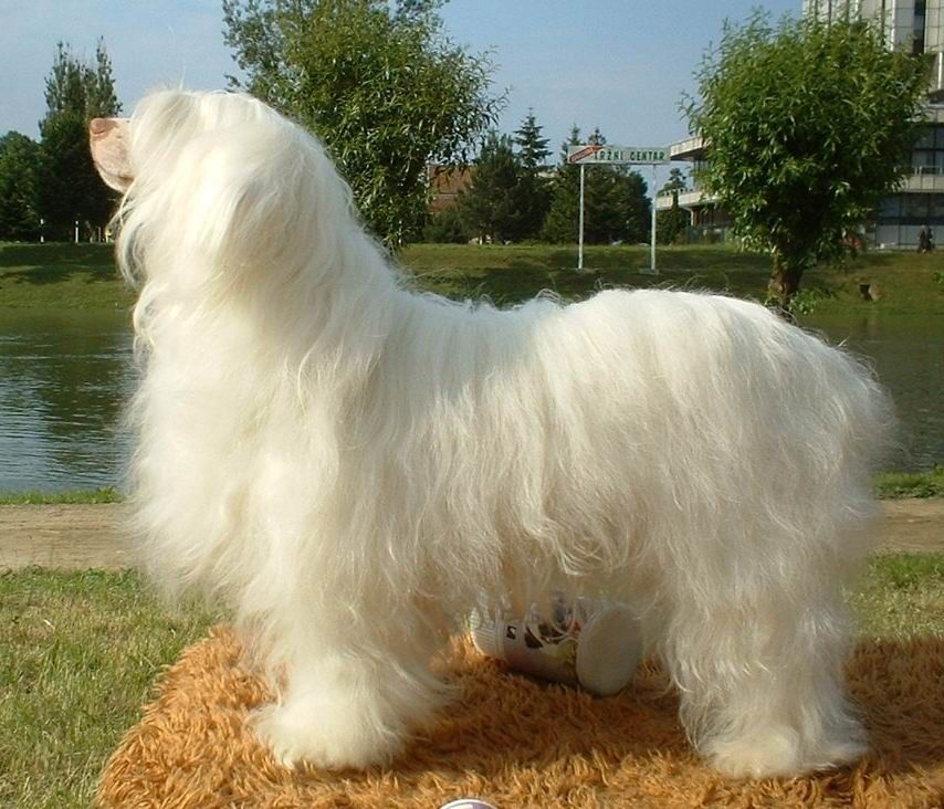 Enigma Bianca De GabriTho