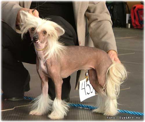 Eugenios Blue Monday 