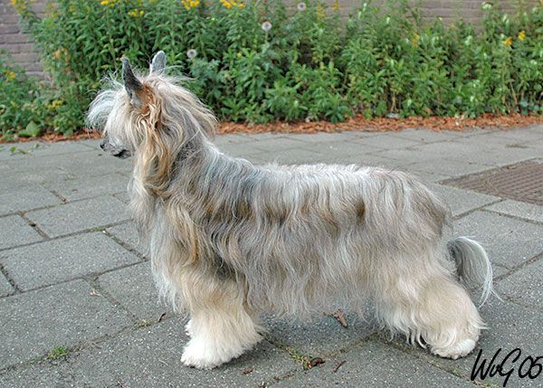 Full Monty Estee Lauder