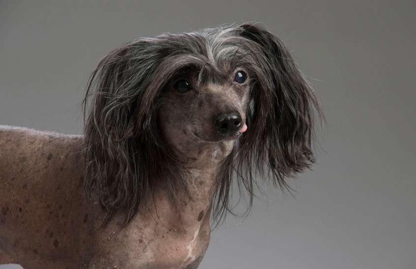 Joyway's Naughty Boy