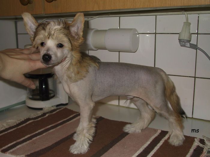 Joyway's New Beginning