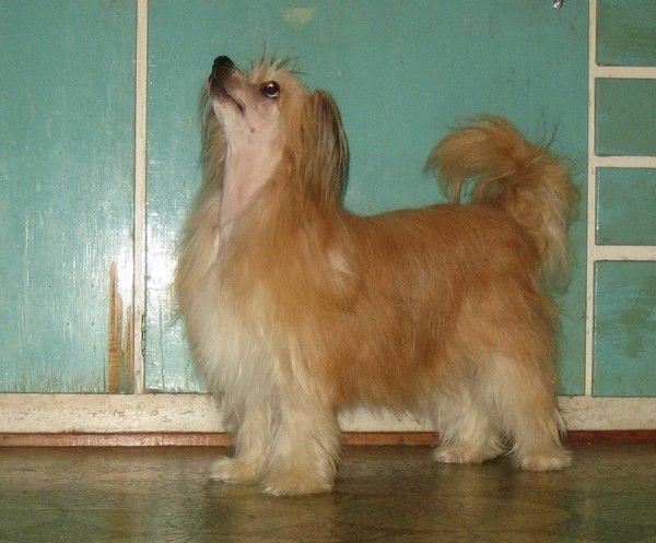 Kuutarhan Tähtitarha