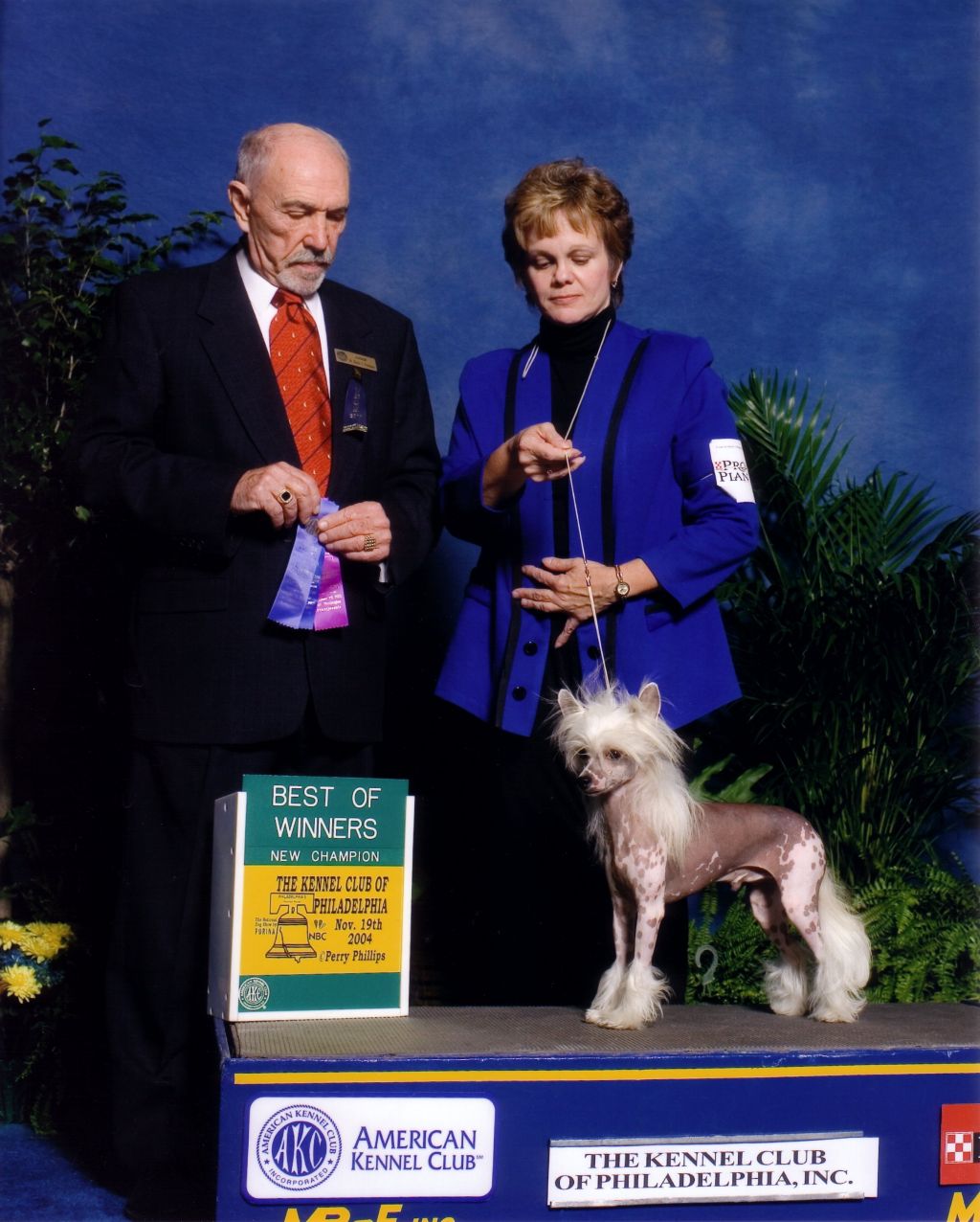 Lot's Of Chrome At N'co