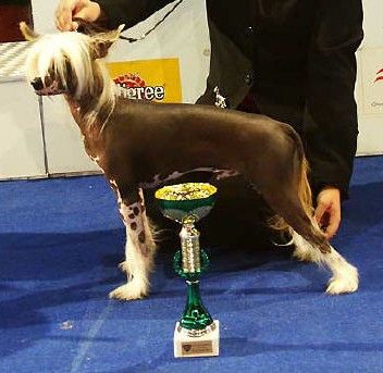 Lovely Boy Od Chlpiku