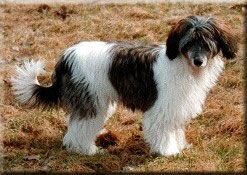 Marachinos Allmypower