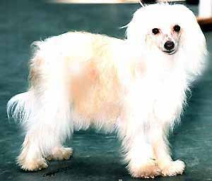 Mima Ya-Na Du Gue De Launay