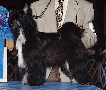 Nauset Absolutely Dramatic