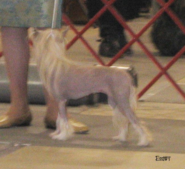 Nauset Absolutely Perfect