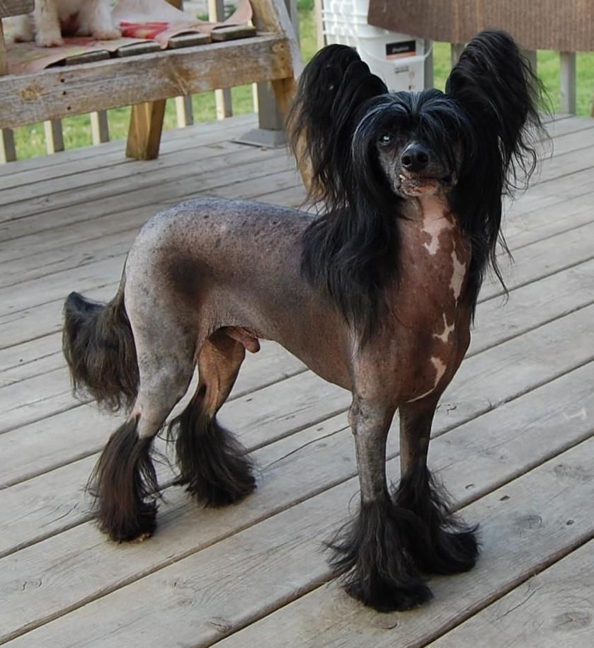 Out Of Nowhere Crestyle N'co