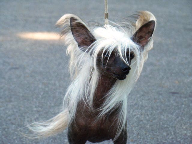 Rex's Kantor Marmon Bur-Mari-Andi