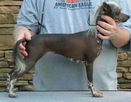 Rochars Jo-Bar Rock My World