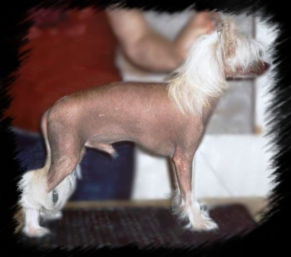 Secret Line's Hot Chilimeal