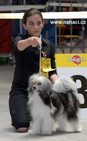 Shambhala's Onyx Fantasy Island