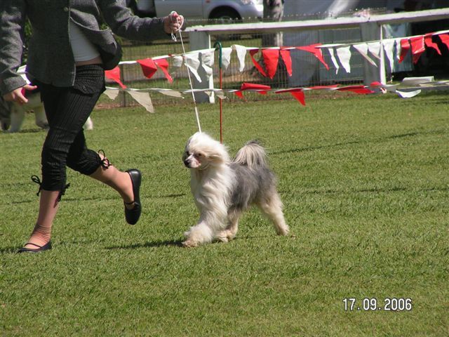 Sherabill Gift Wrapped