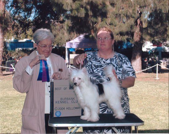 Shida Pretty Fly For A White Guy