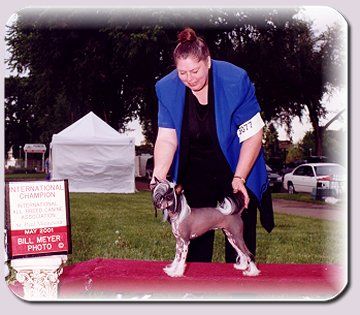 Signet's French Quarter QT