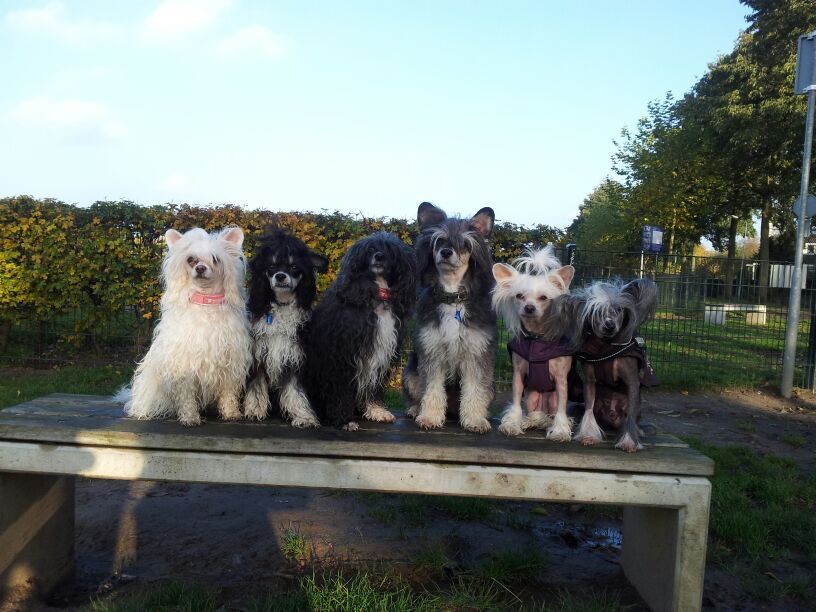 Special Edition Born To Win