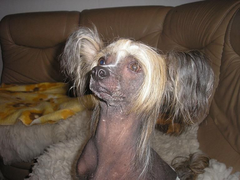 Terezka Afinity Od Chlpiku