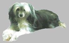 Teufelchen Yoja Keenah Jill