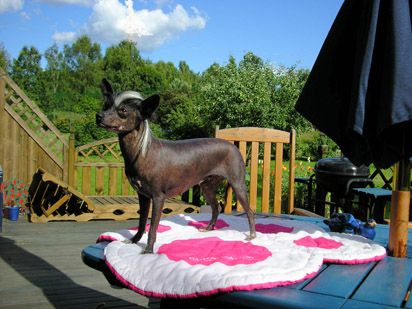 Tintina's Sunshine In My Life