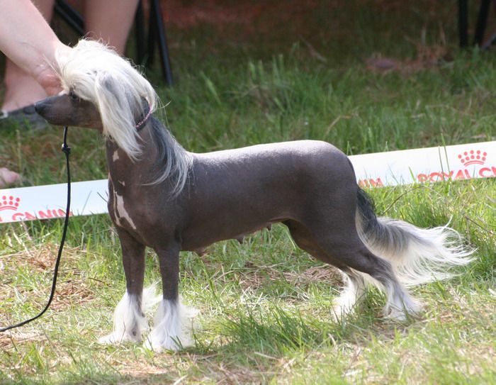 Twice As Nice Desert Sparkle