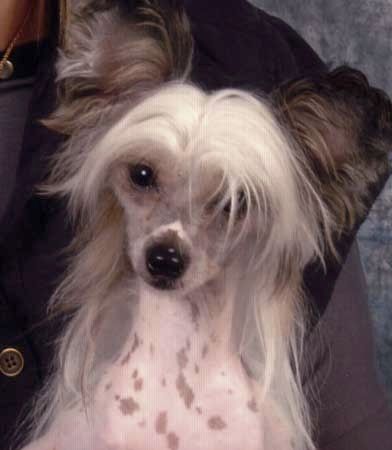 United Colours Fantasy Island