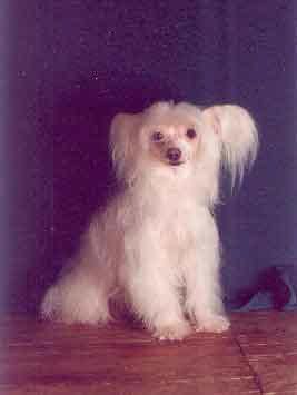 Vellar Pljus Ay Kristin