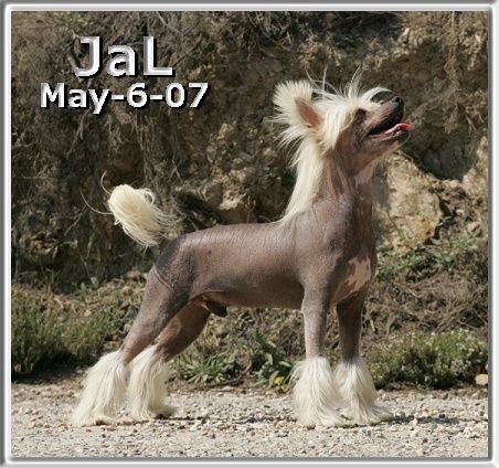 CH. Woodlyn Red Hot ChocoLatte