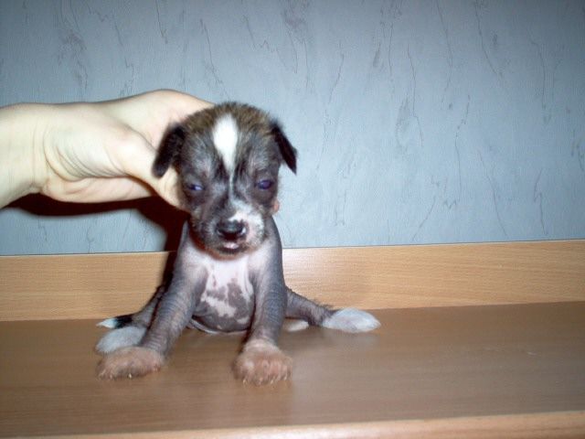 Magic'N Mystic After Midnight