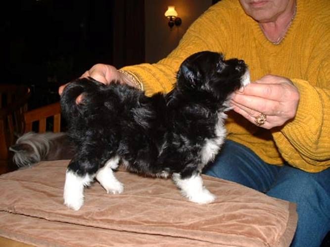 Rimabra's Elle Labelle