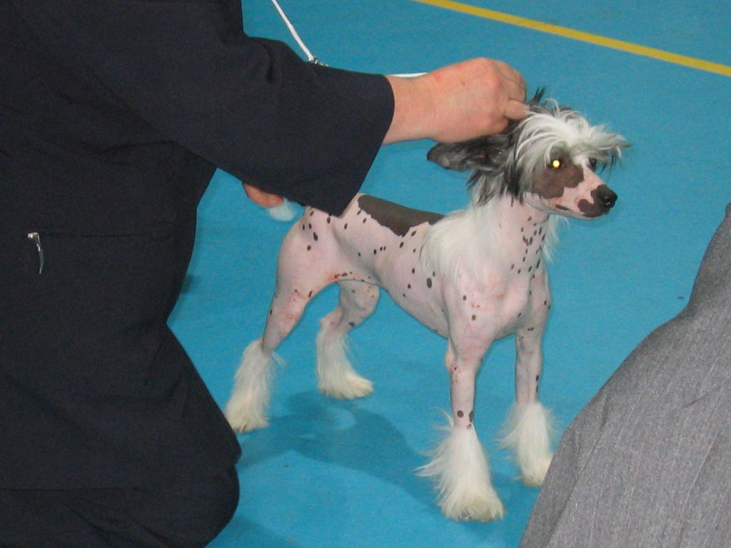 De La Mahafu's Beauty Love