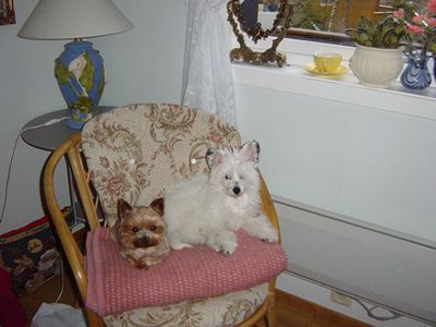 De La Mahafu's Chialy