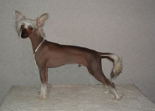 De La Mahafu's Chris D'e