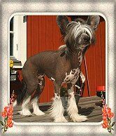 Belshaw's Deep Night