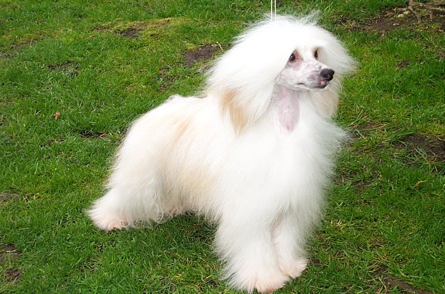  Angie's First Double Trouble