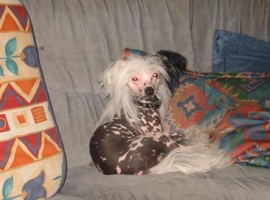 Fullträffen's Aurora