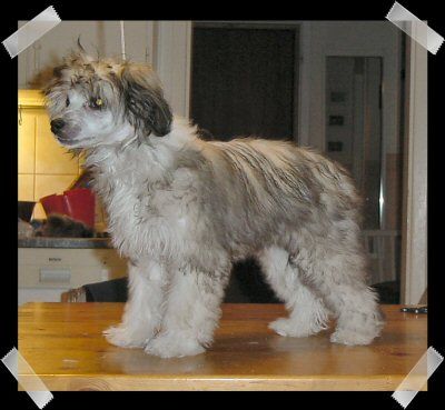 Kozlowski's First And The Only