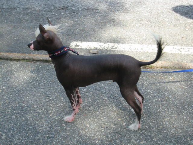 Backlyans Culture Club