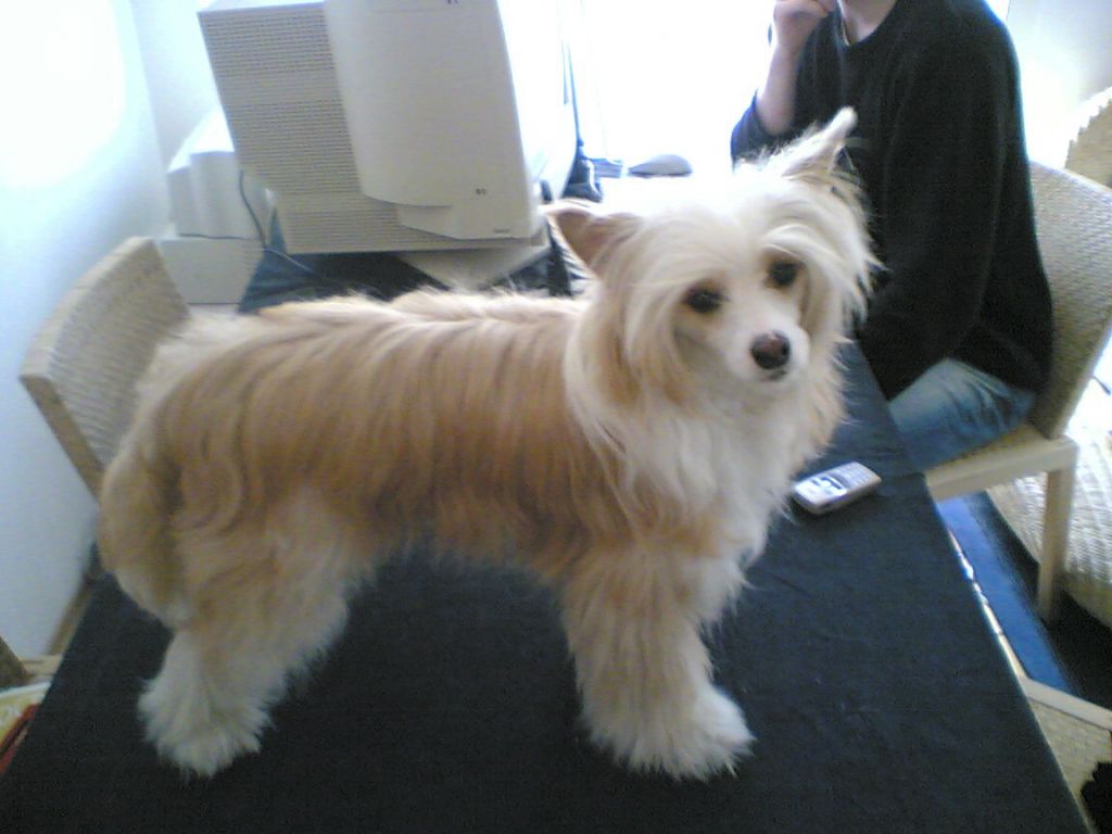 Angie's First Angel In Red