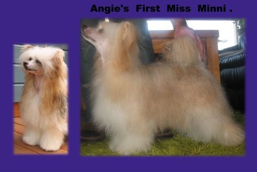 Angie's First Miss Minni
