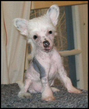 M-Ligans No Retreat No Surrender