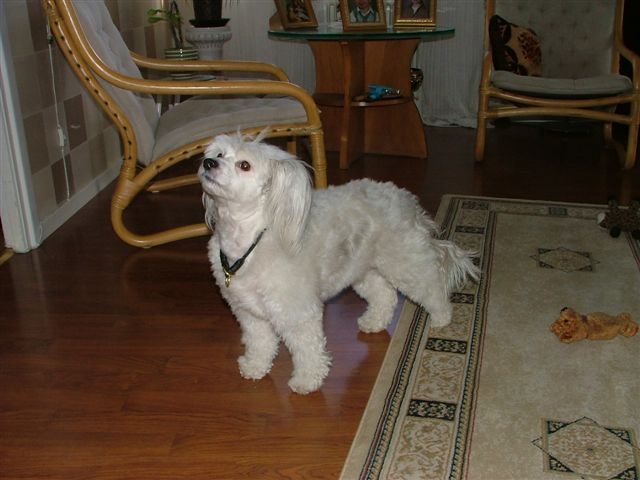 Ridgecrest's Queen Baumorda