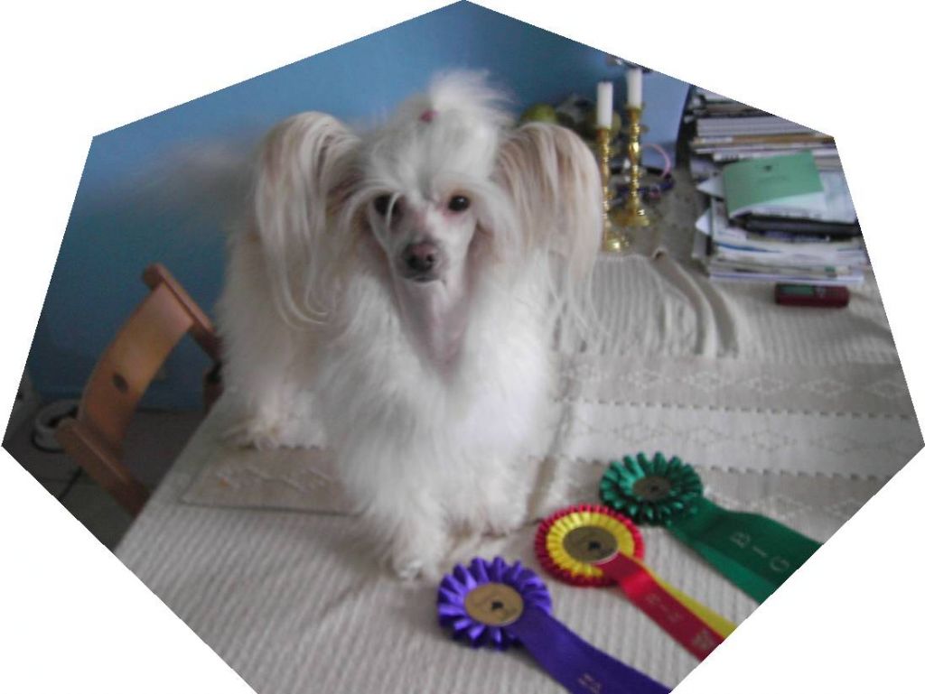 Ridgecrest's First Lady Raziel