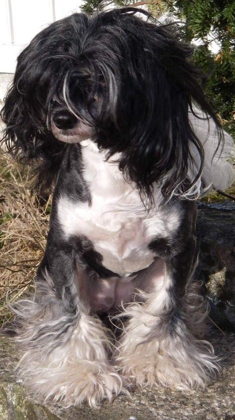 Untouchable's Café Au Lait