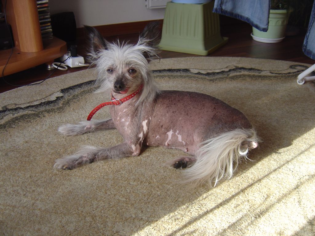 Elizabeth Taylor Herbu Bawaria