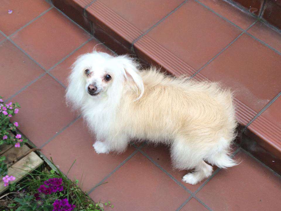 Arwena Abraxas Chin-Chin