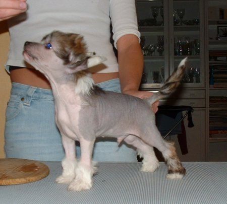 Sun-Hee's Unforgetable